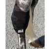HORSE222 Horse knee boots with Neoprene Sport Horse Splint Boots, Cradle Fetlock Support Protective Boots
