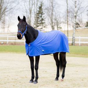Summer Or Winter Horse Blanket,Horse Hood Or Rash Guard,Winter Horse Rugs ,Heavyweight Waterproof Horse Rug,