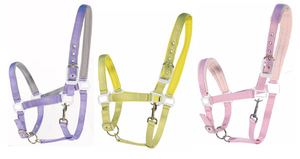 Horse Bridle With Lead for Equestrian Equipment