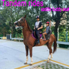 Horse711 Tandem Rides Saddle Buddy Seat, Felt Customized Saddle Pads,printed Customized Saddle Pads, Cheaper Polyester Saddle Pads,Saddle Pads, Premium Western Saddle Pads with Customizable Design