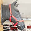 Horse Bridle With Lead With Lead for Equestrian Equipment