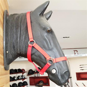 Horse Bridle With Lead With Lead for Equestrian Equipment