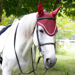 Horse Earmuff for Equestrian Equipment